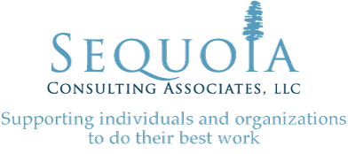 Sequoia Consulting: Supporting individuals and organizations to do their best